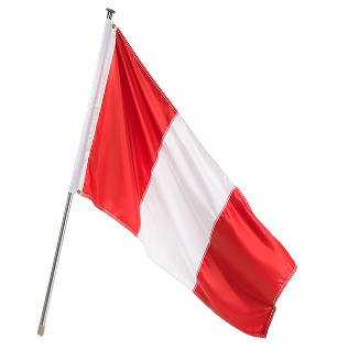 Color Guard