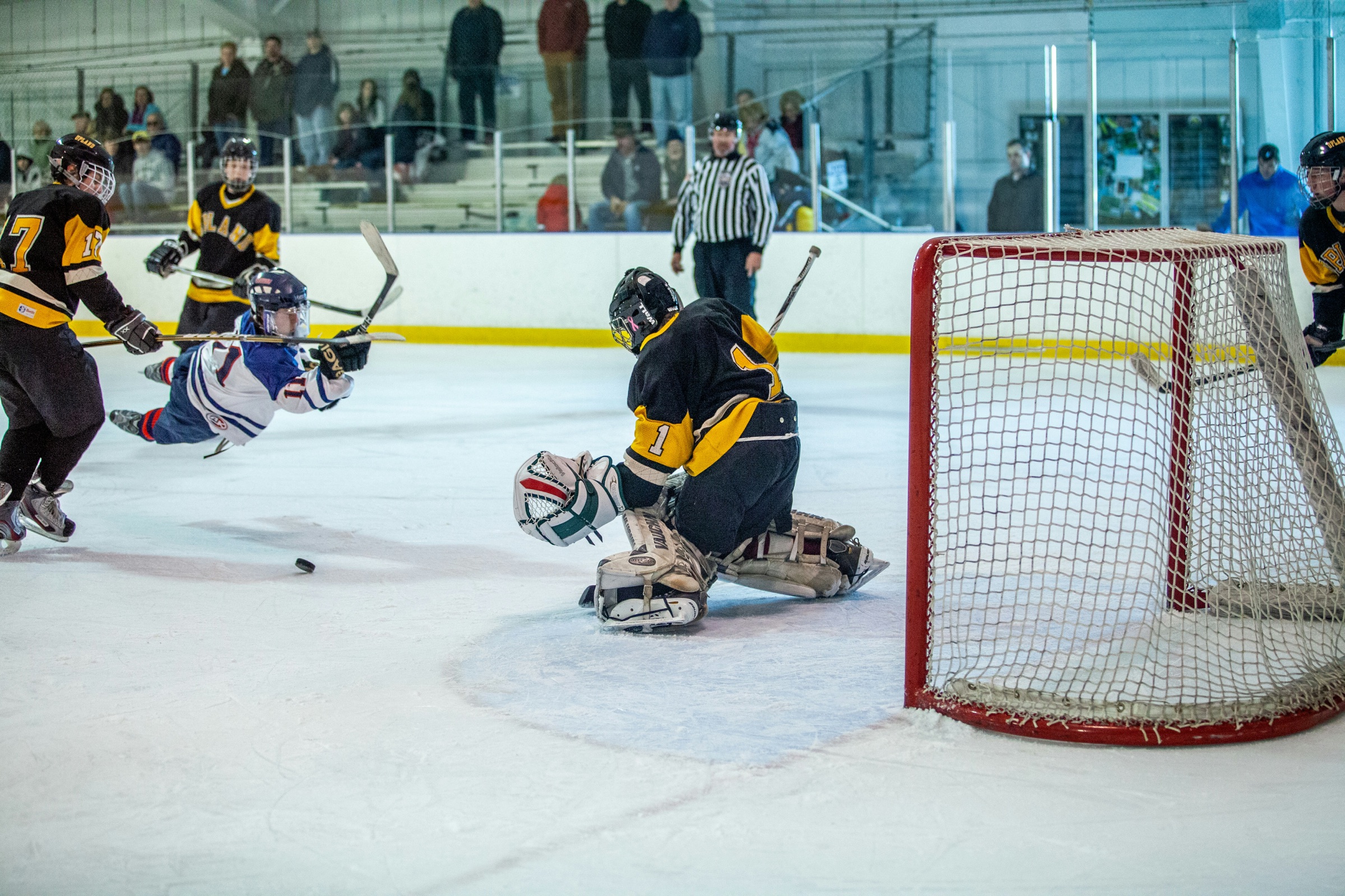 Ice hockey player in a yellow and black jersey during a competitive game